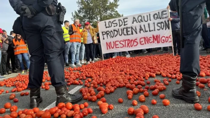 اعتراض شاحنة من صادرات الطماطم - أرشيف
